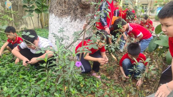 VỆ SINH TRUOWNGF LÓP VÀ CHĂM SÓC CÔNG TRÌNH MĂNG NON