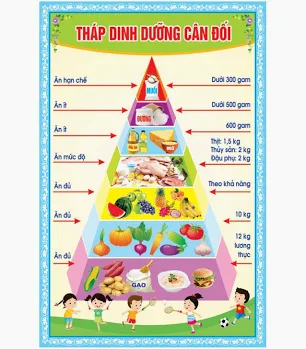  Thực đơn bán trú  trường Tiểu học Trần Đăng Ninh tuần 21, tuần 22, tuần 23  (từ 02/2/2026-27/2/2026) 